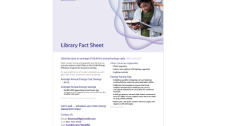 Library Fact Sheet